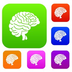 Brain set icon in different colors isolated vector illustration. Premium collection