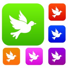  Dove set icon in different colors isolated vector illustration. Premium collection
