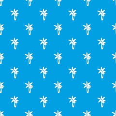 Two palm trees pattern repeat seamless in blue color for any design. Vector geometric illustration