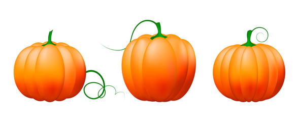 Pumpkin icon set,Vector vegetables.