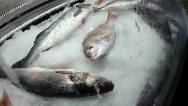 Fresh Sea Fish On Ice / Fresh raw mediterranean sea fish on ice close-up