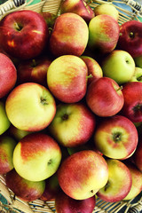 apples in the basket, top view