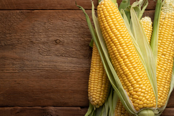 Fresh corn on cobs on rustic wooden table, closeup. Top view with copy space