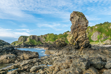Fototapeta na wymiar Rock stack and shore