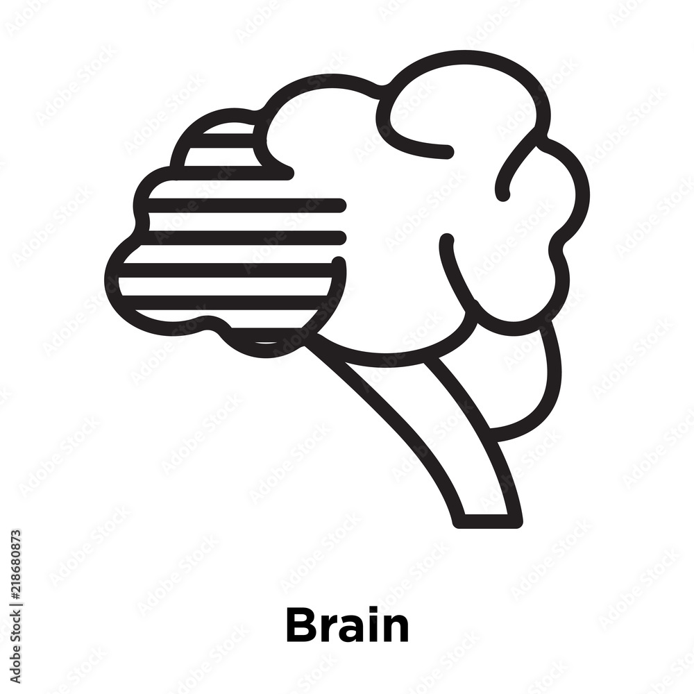 Poster brain icons isolated on white background. modern and editable brain icon. simple icon vector illustr