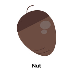 Naklejka premium Nut icon vector isolated on white background, Nut sign
