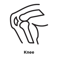knee icons isolated on white background. Modern and editable knee icon. Simple icon vector illustration.