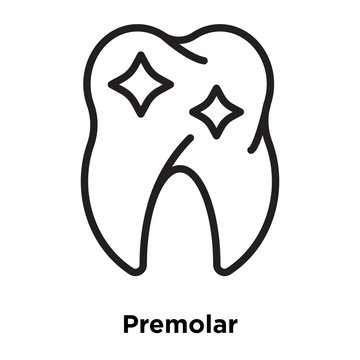 premolar icons isolated on white background. Modern and editable premolar icon. Simple icon vector illustration.