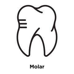 molar icons isolated on white background. Modern and editable molar icon. Simple icon vector illustration.