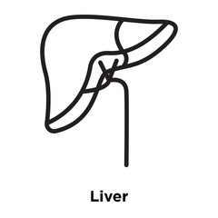 liver icons isolated on white background. Modern and editable liver icon. Simple icon vector illustration.