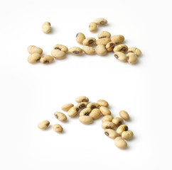 Set of Roasted Soybeans or Soy Nuts isolated on White Background.