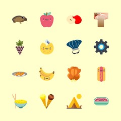 16 food icons set