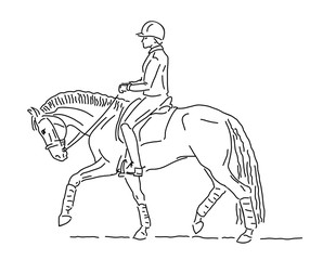 Equestrian sport, dressage. The rider and the horse walking.