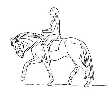 Equestrian sport, dressage. The rider and the horse walking.