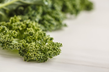 Fresh green leaves of kale on white background.