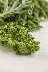 Fresh green leaves of kale on white background.