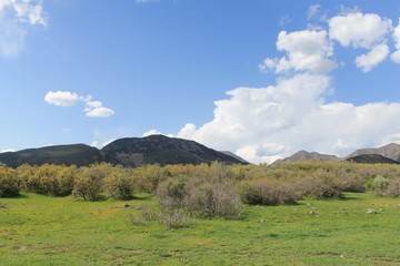 beautiful colorado pics