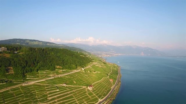 4K Aerial footage of Vineyard fields in Terrasses de Lavaux near Lausanne in Switzerland - UHD