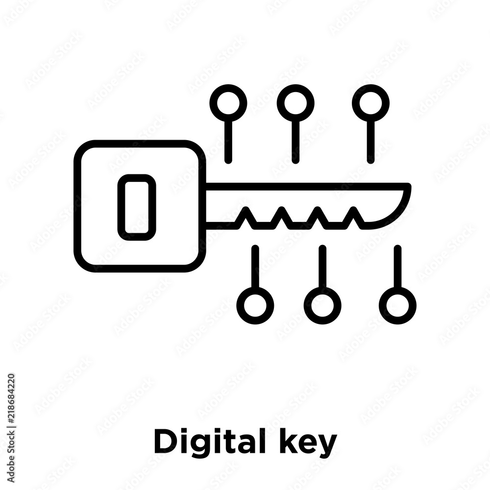 Poster digital key icon vector isolated on white background, digital key sign , thin line design elements i