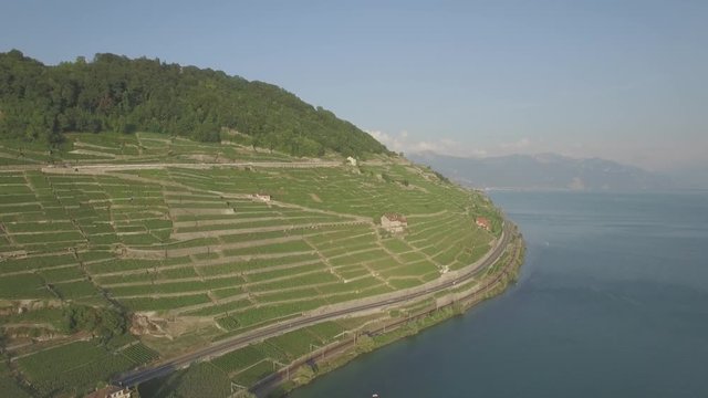 4K ungraded Aerial footage of Vineyard fields in Terrasses de Lavaux near Lausanne in Switzerland - UHD