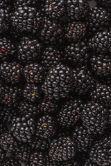 Fresh raw blackberry background.