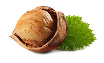 hazelnuts with leaves isolated on white background. macro