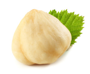 hazelnuts with leaves isolated on white background. macro