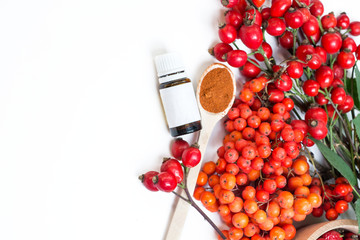 Medicinal plants and herbs composition: Dog rose, bunch branch Rosehips, types Rosa canina hips, essential oil. bunch, Tea with rosehip on white 