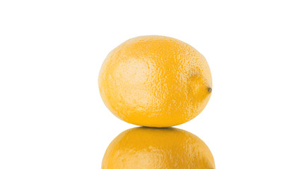Isolated lemon. One whole lemon fruit isolated with reflection on white background