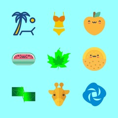 9 tropical icons set