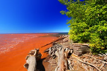 Tuinposter Lake Superior Mud from Rainstorm © Wirepec