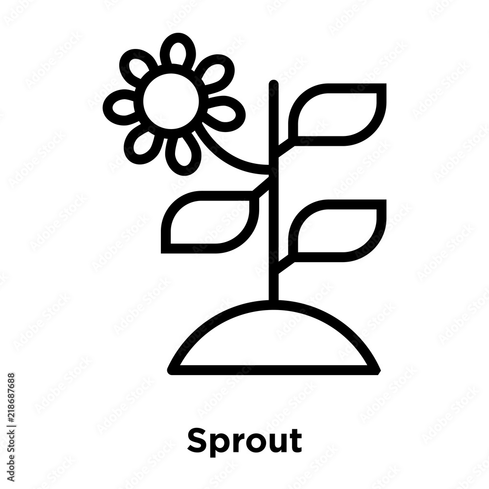 Poster sprout icon isolated on white background. modern and editable sprout icon. simple icons vector illus