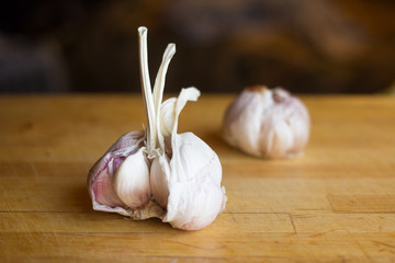 close up the garlic on a wooden cutting board