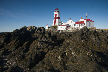 Fototapeta na wymiar Low Tide Displays Rocky Shore at Head Harbor Lighthouse in Canada