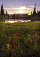 Beautiful sunset at upper Tipsoo Lake in Mt Rainier National Park with wildflowers on the foreground.
