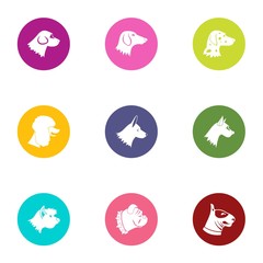 Dog hunter icons set. Flat set of 9 dog hunter vector icons for web isolated on white background