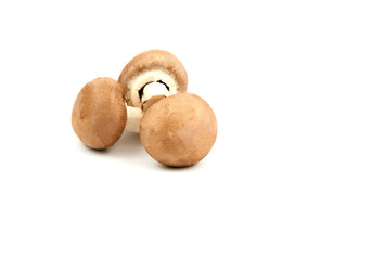 Agaricus bisporus or  portobello mushroom on white background..healthy and benefits of brown mushroom.