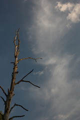 небо облака