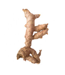 Ginger fresh with Isolated on a white background