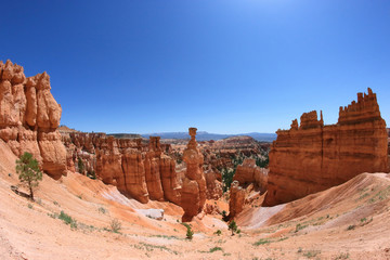 Fototapeta premium Thor's hammer in Bryce Canyon