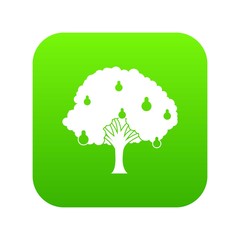 Pear tree with pears icon digital green for any design isolated on white vector illustration