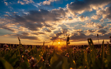 Sonnenuntergang über Kreisgrabenanlage / Sonnenobservatorium in Goseck Sachsen-Anhalt