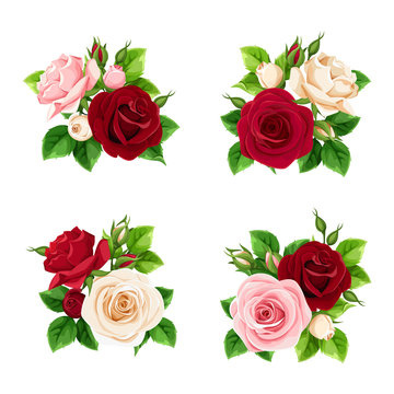 Vector set of pink, burgundy and white roses isolated on a white background.