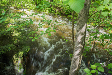 Stormy waterfall in a dense forest