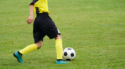 Fototapeta premium サッカー フットボール