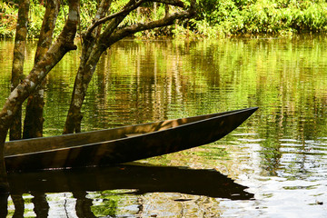 canoe on the water in Yasuni National Park, Ecuador