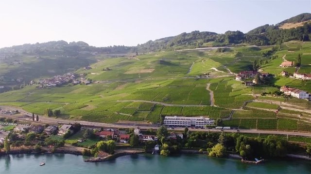 4K Aerial footage of Vineyard fields in Terrasses de Lavaux near Lausanne in Switzerland - UHD