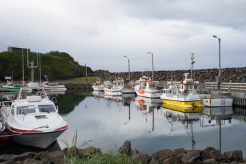 Landschaft am Hafen von Bakkagerði mit Papageientauchern / Ostfjorde - Island