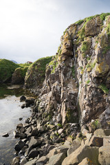 Landschaft am Hafen von Bakkagerði mit Papageientauchern / Ostfjorde - Island