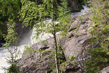 Stormy waterfall in a dense forest